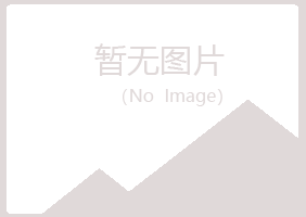 那坡县山柳化学有限公司